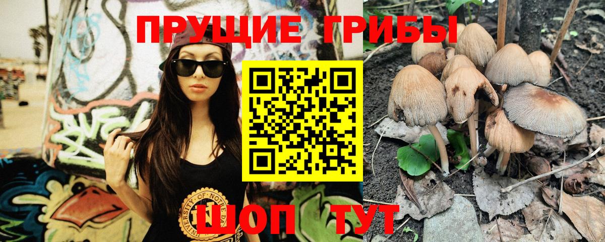 где найти наркотики  Псилоцибиновые грибы MAGIC MUSHROOMS  Вход с VPN  Тосно 