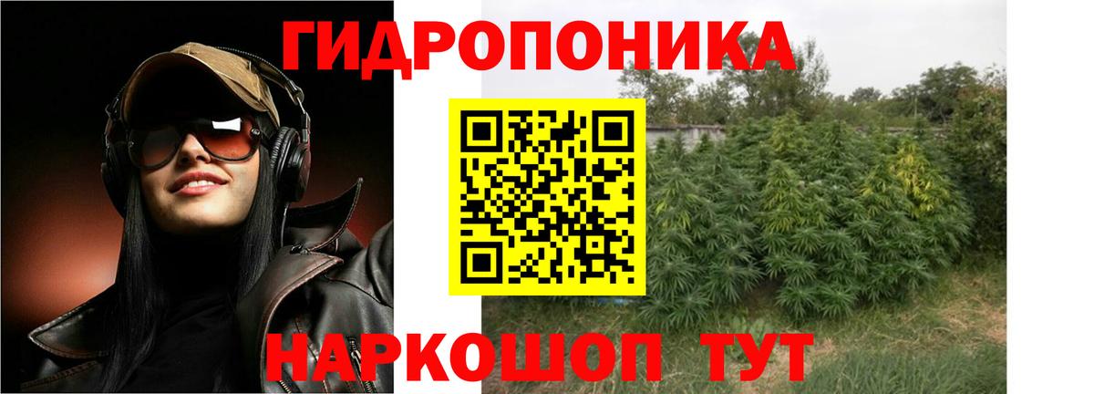 Бошки Шишки MAZAR Тосно